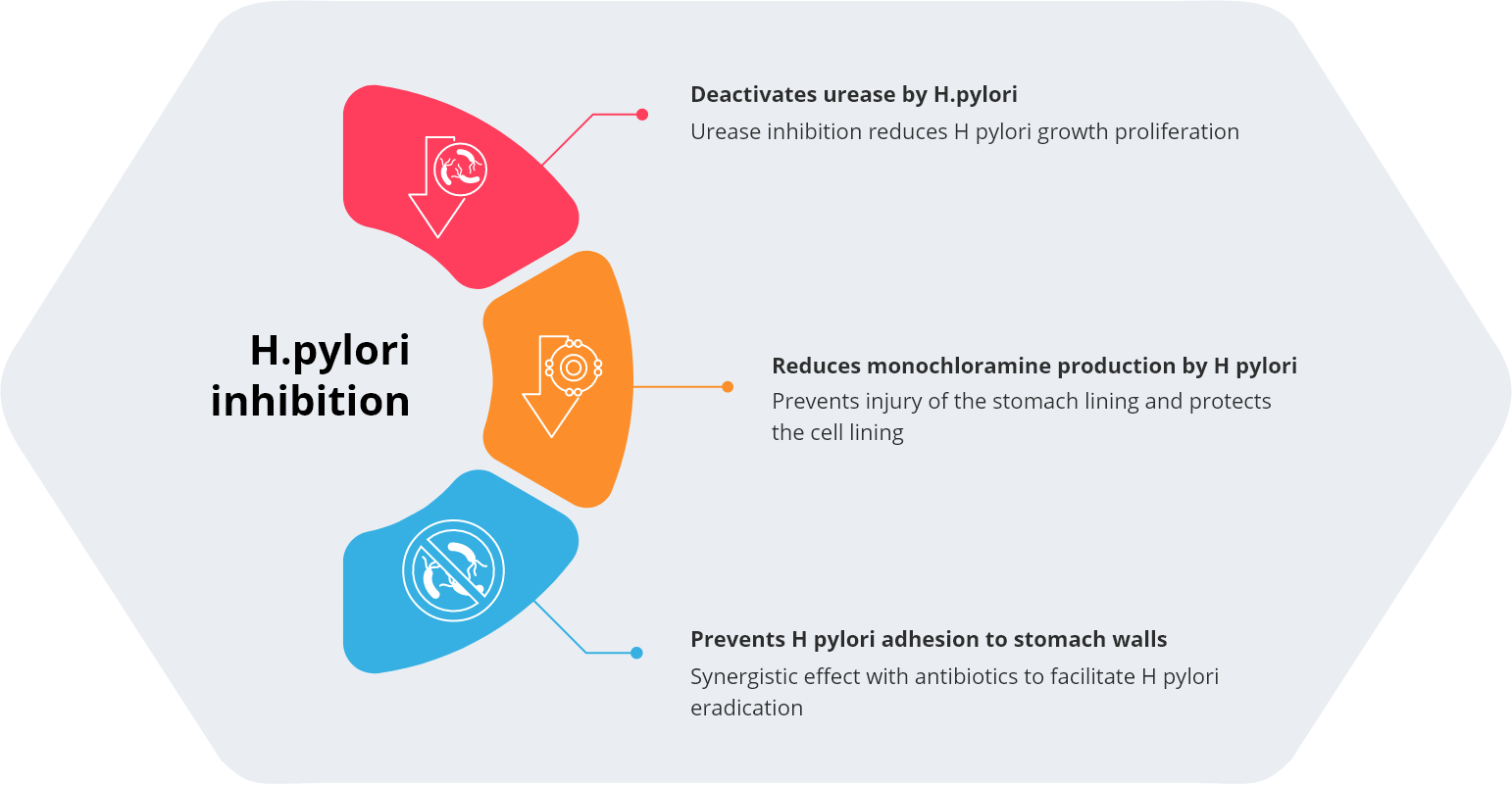 How It Works Zinc Carnosine